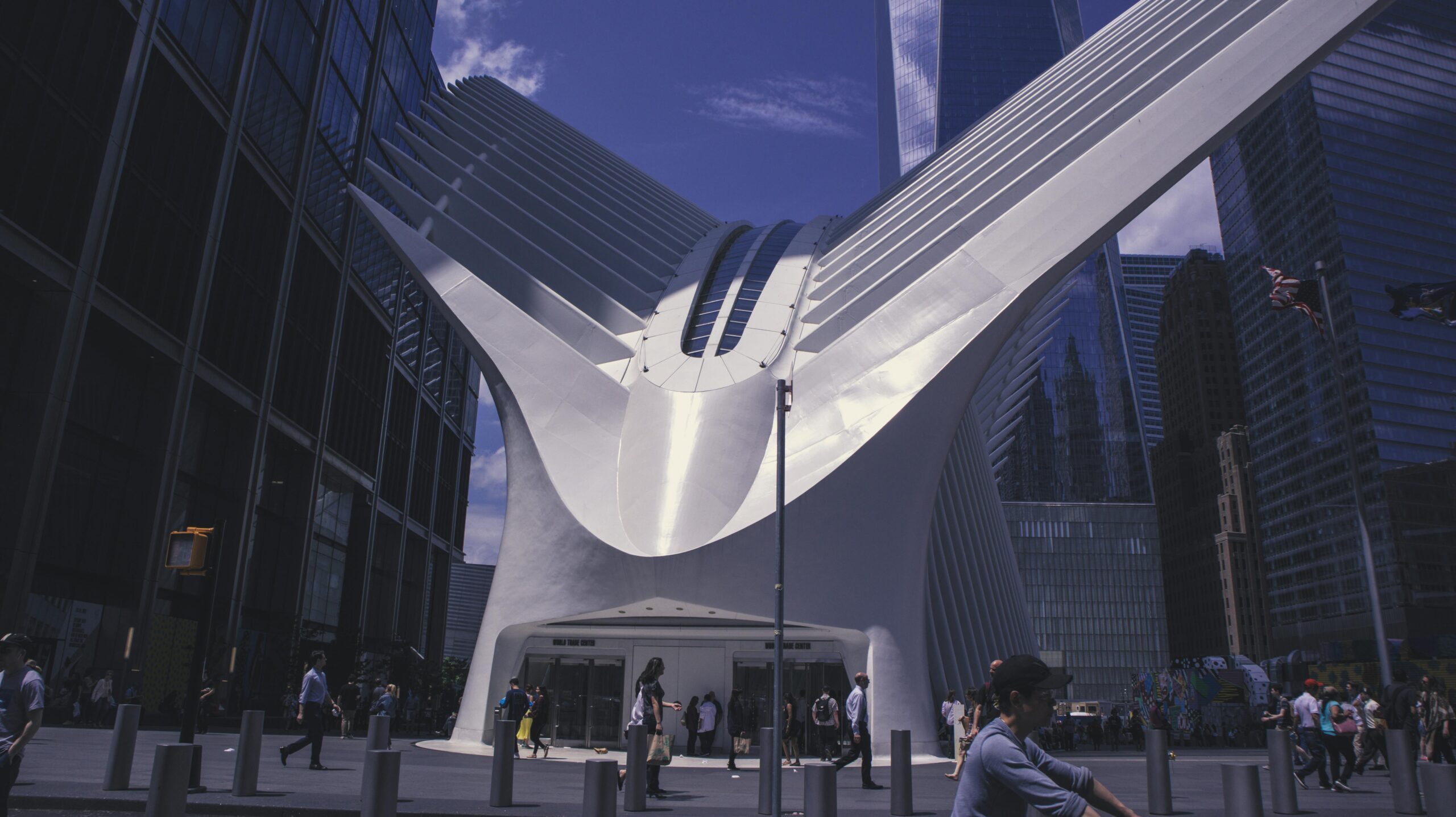 pexels-photo-29532718-29532718 View of the Oculus transportation hub in New York City, showcasing modern architectural design.